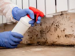 Best Comprehensive Air Testing for Mold Contaminants  in Springfield, IL